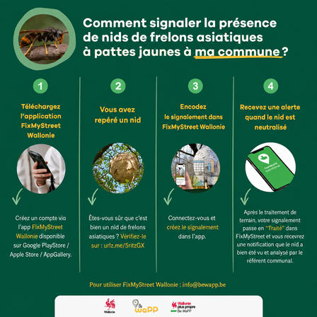Signalement