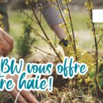 Le Brabant wallon vous offre une haie : participez à la biodiversité près de chez vous