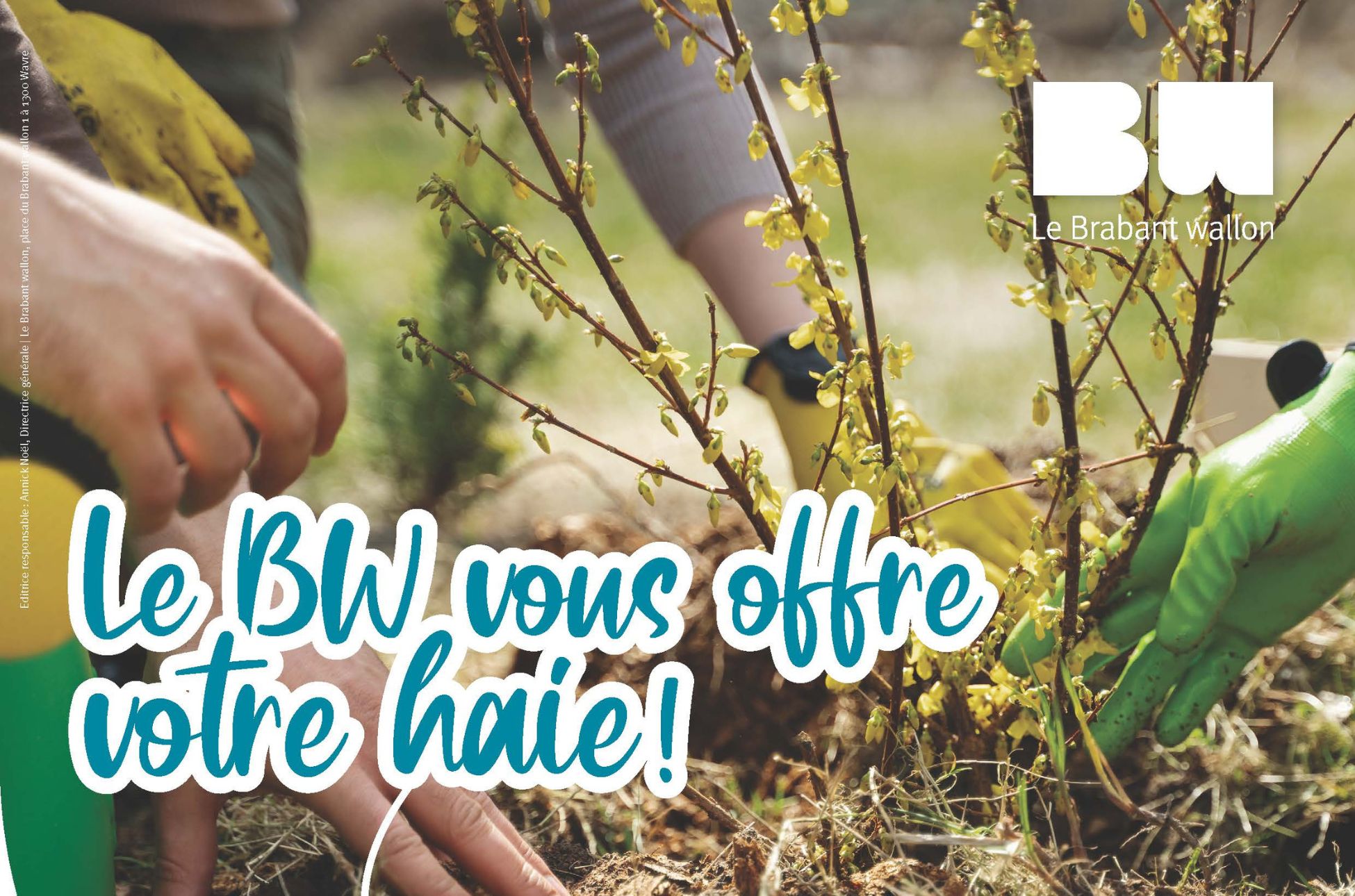 Le Brabant wallon vous offre une haie : participez à la biodiversité près de chez vous