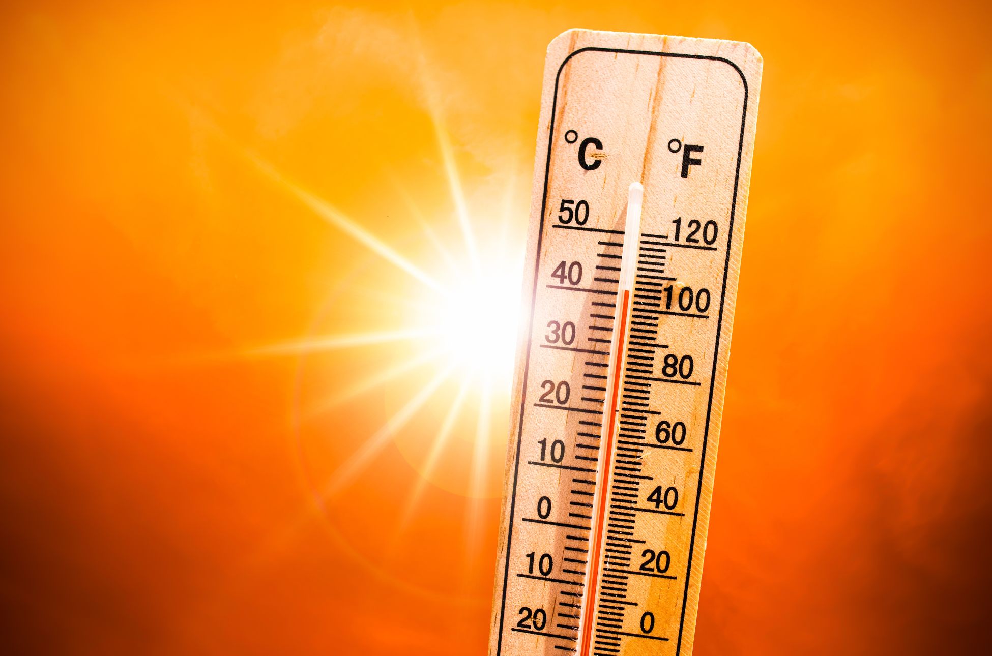 Plan canicule